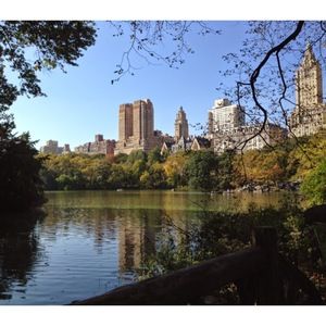 Meet your Posher, Elyse